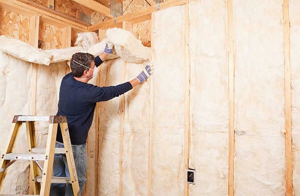 Best Eco-Friendly or Green Insulation Solutions in Manchester, PA